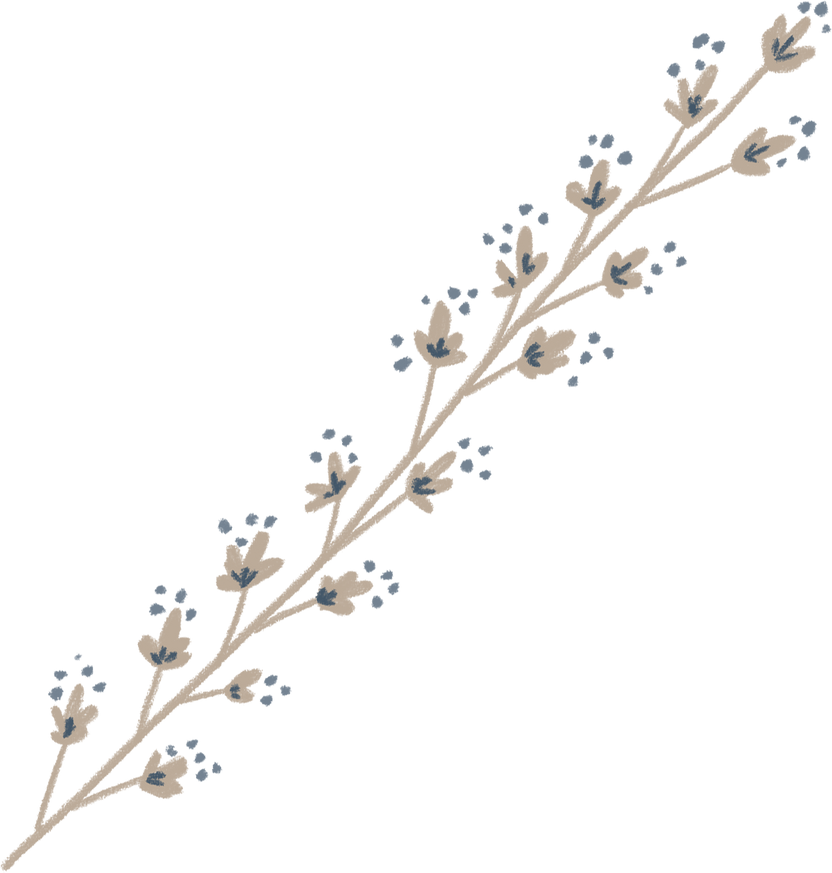 Dried flower